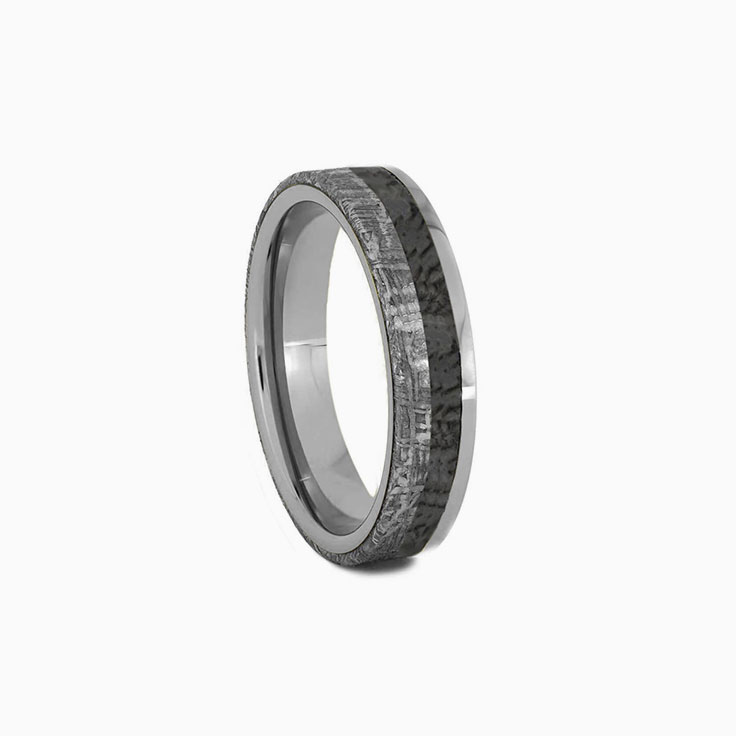 Meteorite Dinosaur Bone Wedding Band