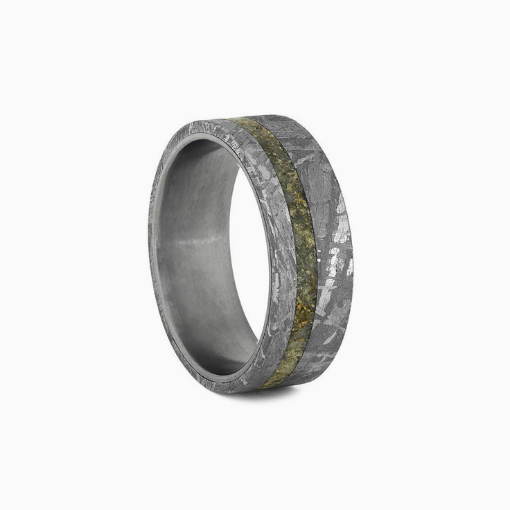 Meteorite Mens Ring With Dinosaur Bone and Titanium