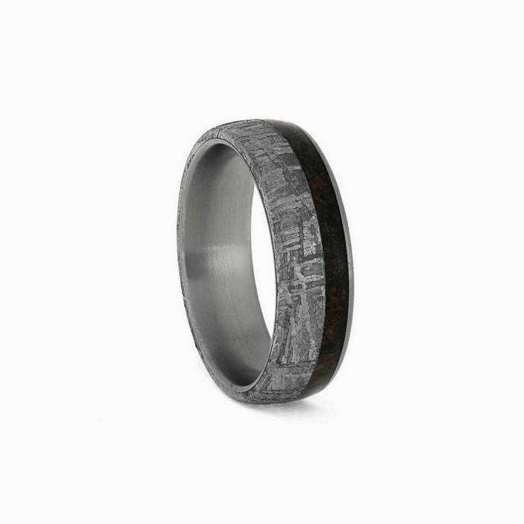 Meteorite Dinosaur Bone Ring In Titanium