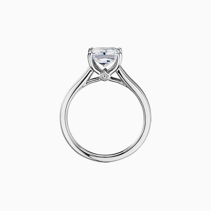 Princess Cut lab Diamond Engagement Band