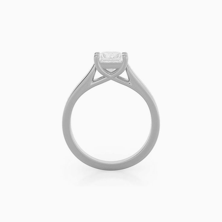 Lab Diamond Princess Cut Engagement Ring