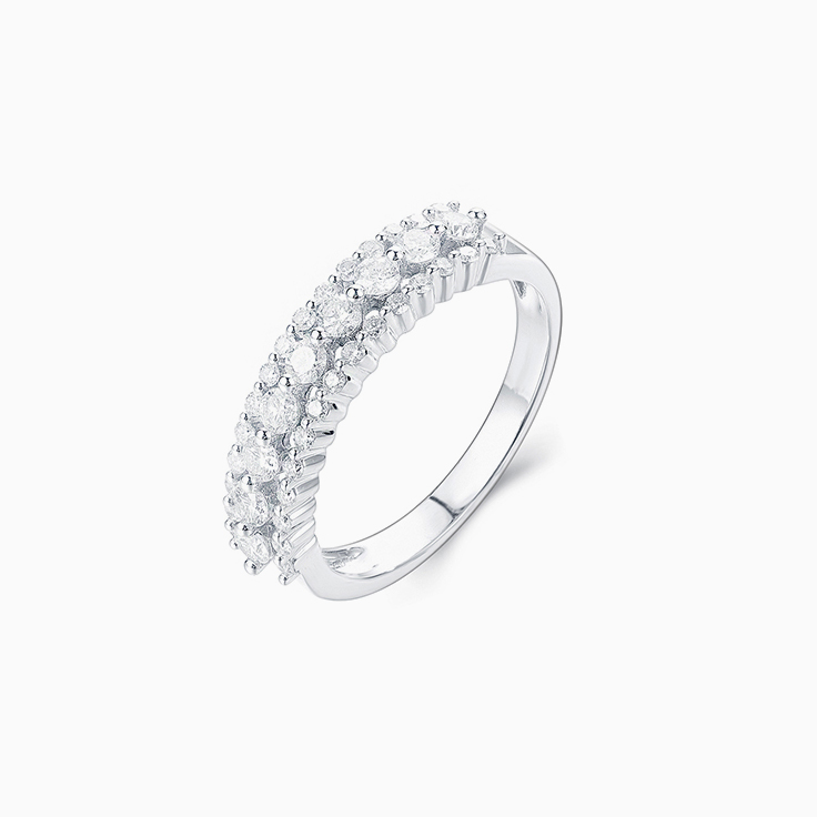 Two Claw set Diamond Band