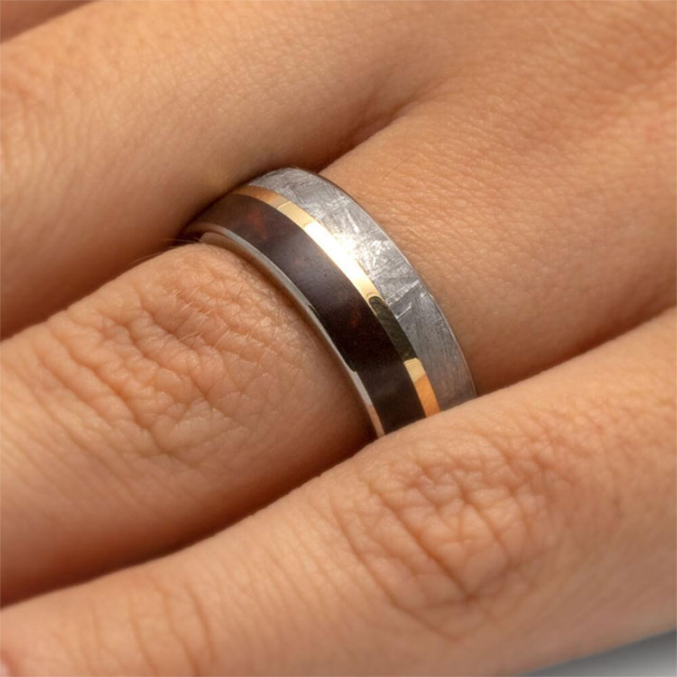 Meteorite and fossil ring
