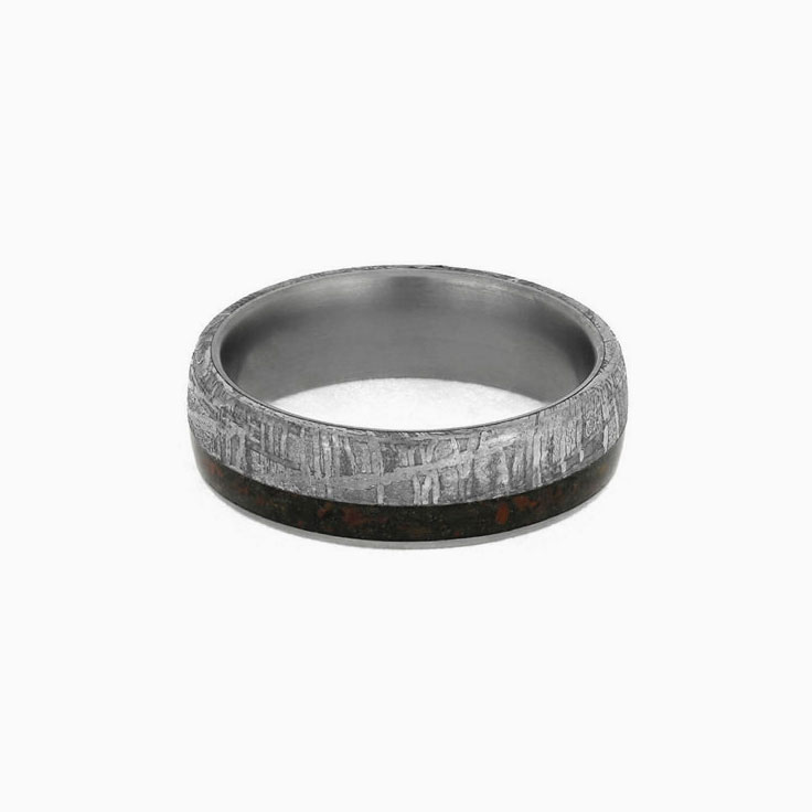Meteorite Dinosaur Bone Ring In Titanium
