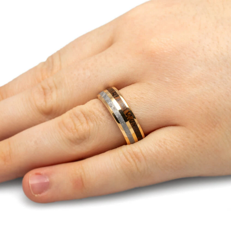 Dinosaur Bone Meteorite and gold ring